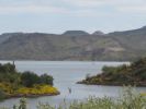 PICTURES/Wildflowers - Desert in Bloom/t_Lake Pleasant1.JPG